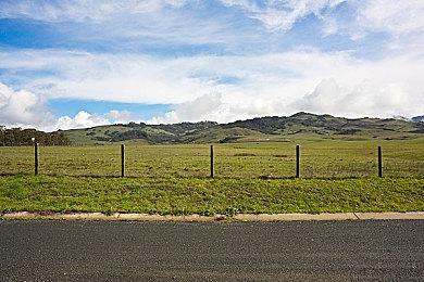  《怪物猎人：荒野》修复剧情bug 3月5日推出补丁