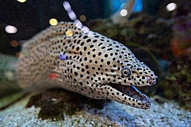 《绝地求生》将在2025年末升级为虚幻5 画面更出色