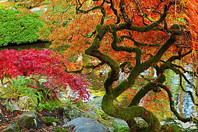 《努努之歌：英雄联盟外传》全新预告 11月1日发售